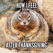 Image result for thanksgiving meme