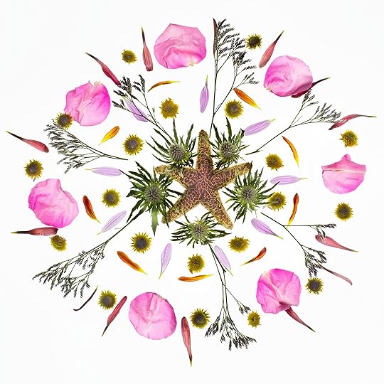 Mandala with Starfish © Harold Davis
