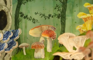 The Mushroom Hunters: Neil Gaiman’s Subversive Feminist Celebration of Science and the Human Hunger for Truth, in a Gorgeous Animated Short Film