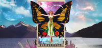 Your weekly Tarot Reading with our psychic Sally 5th August 2019