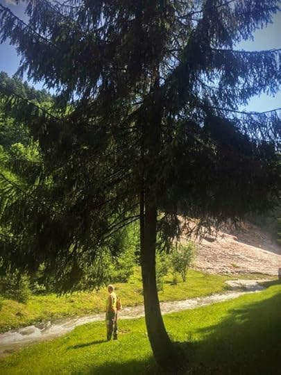 La Cascada Urlatoarea