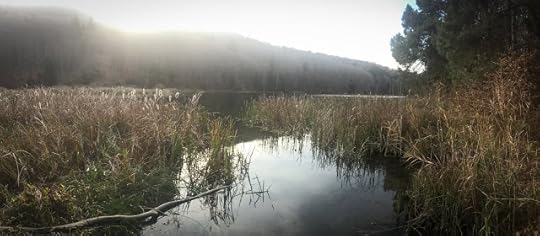 Lacul II Codlea