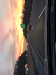 traveling companions