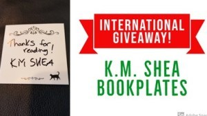 2019 Christmas Giveaway