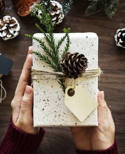 The perfect holiday gift: a “Book Flood”