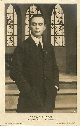 Bernd Aldor in Der Schloßherr von Hohenstein (1917)