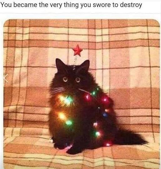 funny cat meme, self-sabotage, Kristen Lamb