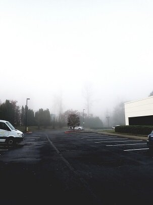 Pictured: late stage capitalism.