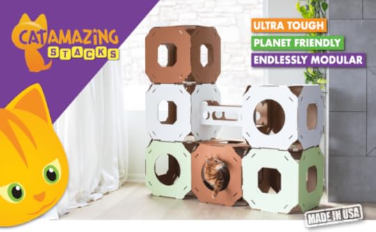 cat-amazing-stacks