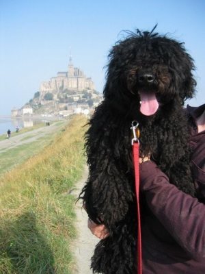 Chokydar J. Pullibear von Pullingham, of the West Von Pullinghams