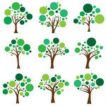 Irregular French verbs