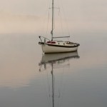 On being as dumb as Peter, where I’m at today…