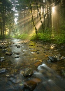 Stream sun rays 10:27:19