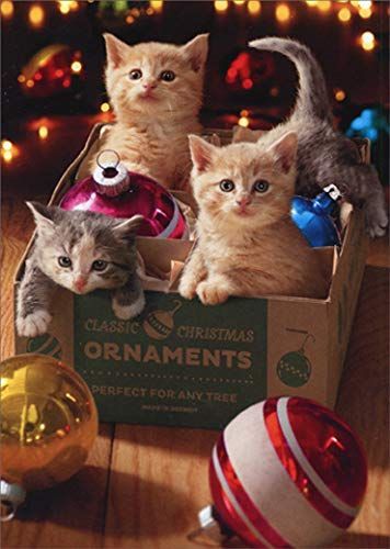 kittens christmas - Google Search