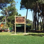 11037633-1066921616658030-2864943618336031251-n-150x150