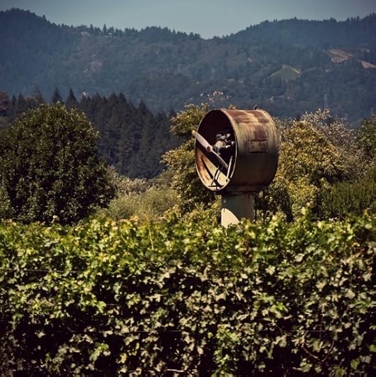 Vineyard Wind Machine