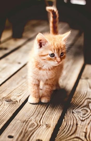 Free Image Hosting at FunkyIMG.com