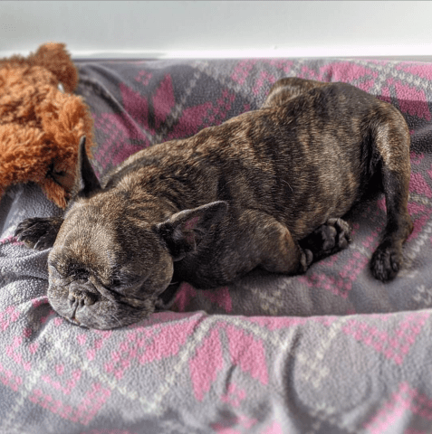 Screen-shot-2019-12-15-at-1.00.32-pm