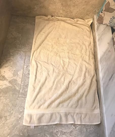 There’s a bath mat under this old towel that I’ve already marked with bleach once.