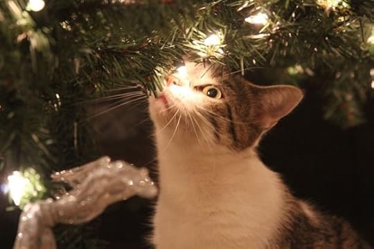 pet-loss-holidays