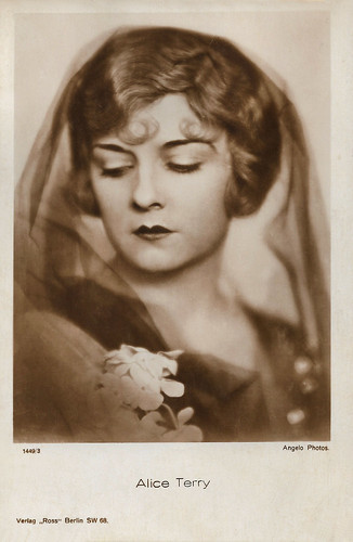 Alice Terry