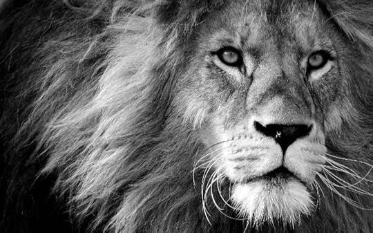 Courage - Be The Lion Not The Sheep