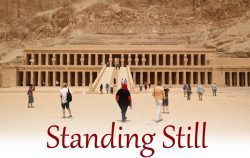 December Microfiction: Standing Still