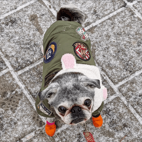 Screen-shot-2019-12-21-at-7.47.31-pm