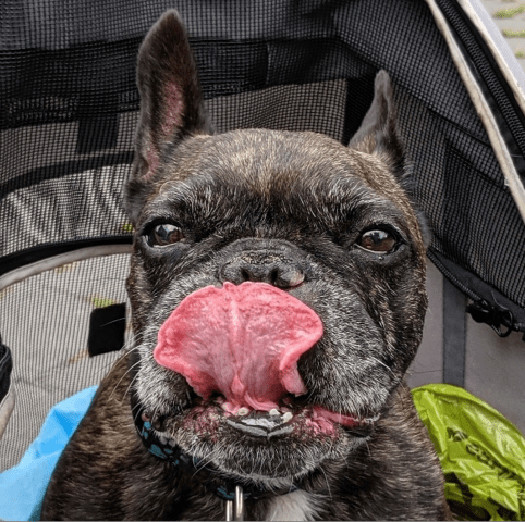 Screen-shot-2019-12-21-at-7.48.31-pm