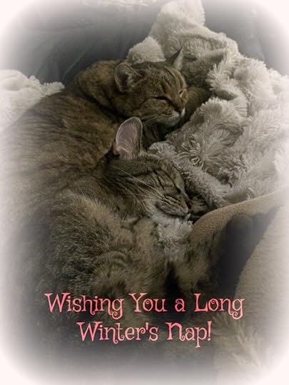 Cats taking a nap together