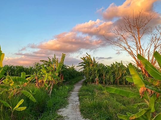 BALI-QUESTIONS-ANSWERED-NIKKI-SHARP