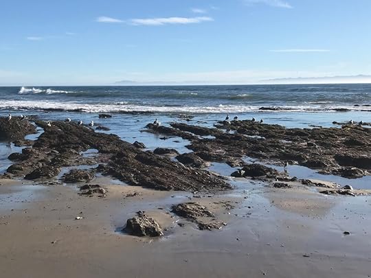 2019-12-12 14.13.57.jpg