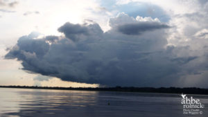 Storm of Transitions