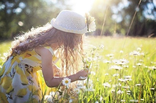 Girl in hat and sundress, picking daisies in a sunlit field.