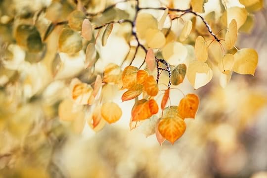 Change is often painful - it often involves dying to something or letting go of dreams. But when we allow old things to pass, we can embrace new gifts.
