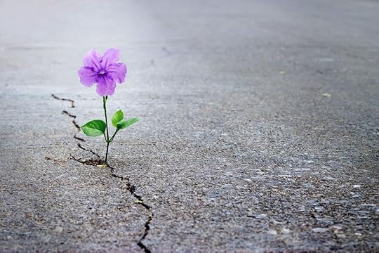 Successful-Manifestors-believe-that-anything-is-possible