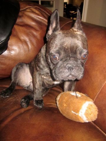 Lulu-football