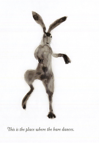 Dancing hare by Catherine Hyde