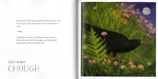 Chough by Catherine Hyde