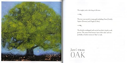 Oak by Catherine Hyde