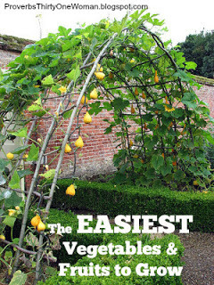 https://proverbsthirtyonewoman.blogspot.com/2012/02/easiest-vegetables-fruits-to-grow.html