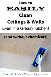 https://proverbsthirtyonewoman.blogspot.com/2014/09/how-to-easily-clean-ceilings-walls-even.html