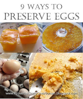https://proverbsthirtyonewoman.blogspot.com/2019/05/9-ways-to-preserve-eggs.html