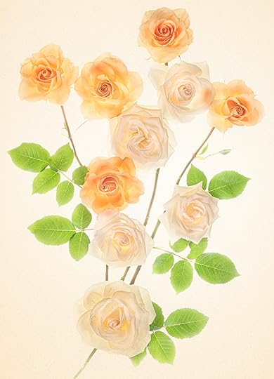 Altar of Roses © Harold Davis