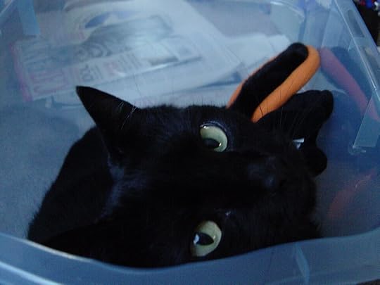 Shadow in a storage bin