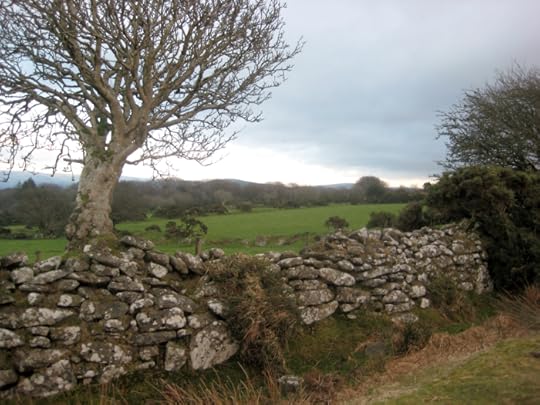 Winter on the edge of Dartmoor