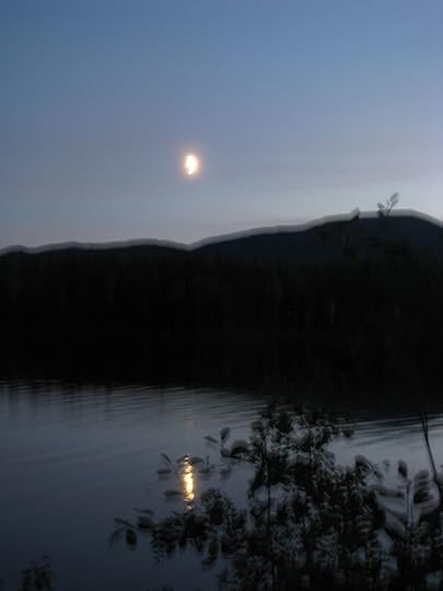 Image may contain: sky, tree, night, outdoor, nature and water