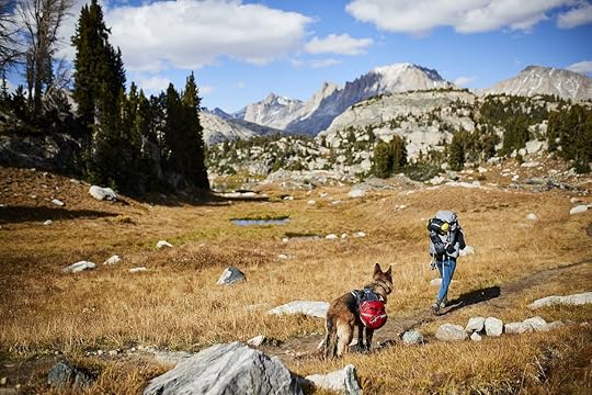 Backpacking with a dog