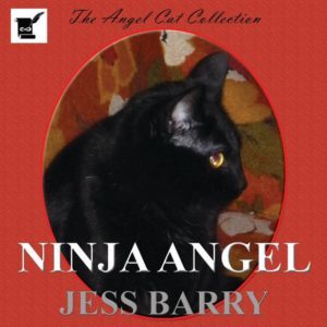 Ninja Angel by Jess Barry