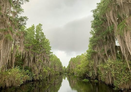 Okefenokee Swamp